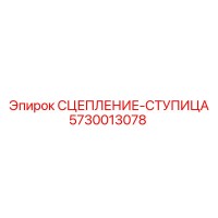 5730013078 СЦЕПЛЕНИЕ-СТУПИЦА Epiroc