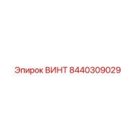 8440309029 Screw Epiroc