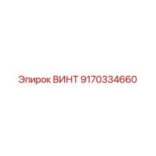 9170334660 ВИНТ Epiroc