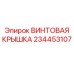 234453107 ВИНТОВАЯ КРЫШКА Epiroc