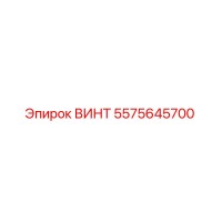 5575645700 ВИНТ Epiroc
