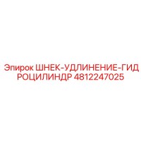 4812247025 ШНЕК-УДЛИНЕНИЕ-ГИДРОЦИЛИНДР (Epiroc)