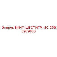 2695979100 ВИНТ-ШЕСТИГР.-SC Epiroc