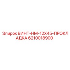 6210018900 ВИНТ-HM-12X45-ПРОКЛАДКА Epiroc