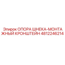 4812246214 ОПОРА ШНЕКА-МОНТАЖНЫЙ КРОНШТЕЙН (Epiroc)