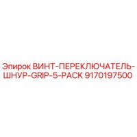 9170197500 ВИНТ-ПЕРЕКЛЮЧАТЕЛЬ-ШНУР-GRIP-5-PACK Epiroc