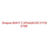 211195788 ВИНТ С КРЫШКОЙ Epiroc