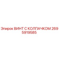 2695919585 ВИНТ С КОЛПАЧКОМ Epiroc