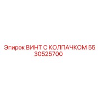 5530525700 Screw with Cap Epiroc