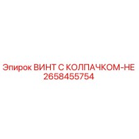 2658455754 ВИНТ С КОЛПАЧКОМ-HE Epiroc