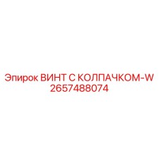 Фото винта с колпачком-W Epiroc артикул 2657488074