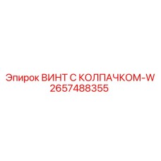 Изображение винта с колпачком-W Epiroc артикул 2657488355
