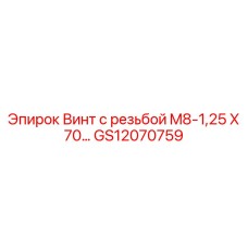 GS12070759 Винт с резьбой M8-1,25 X 70 Epiroc