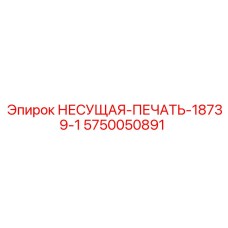 5750050891 НЕСУЩАЯ-ПЕЧАТЬ-18739-1 Epiroc
