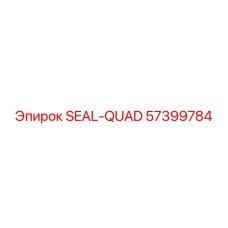 57399784 SEAL-QUAD Epiroc