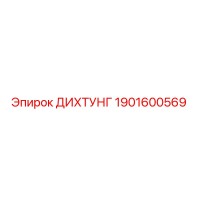 1901600569 ДИХТУНГ Epiroc