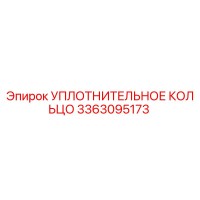 3363095173 УПЛОТНИТЕЛЬНОЕ КОЛЬЦО Эпирок