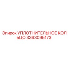 3363095173 УПЛОТНИТЕЛЬНОЕ КОЛЬЦО Эпирок