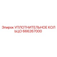 666267000 УПЛОТНИТЕЛЬНОЕ КОЛЬЦО Epiroc