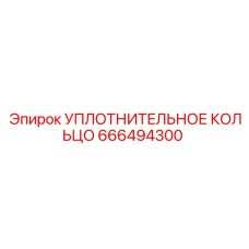 УПЛОТНИТЕЛЬНОЕ КОЛЬЦО 666494300 Epiroc