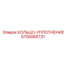 5750065731 КОЛЬЦО-УПЛОТНЕНИЕ Epiroc