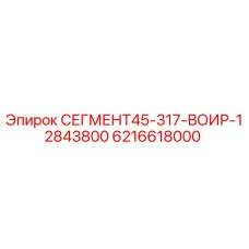 6216618000 СЕГМЕНТ45-317-ВОИР-12843800 Epiroc