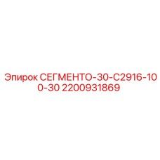 2200931869 СЕГМЕНТО-30-C2916-100-30 Epiroc