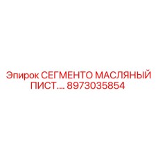 8973035854 СЕГМЕНТО МАСЛЯНЫЙ ПИСТ.… Epiroc