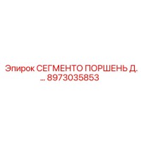 8973035853 СЕГМЕНТО ПОРШЕНЬ Д.… Epiroc