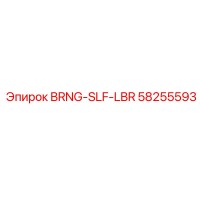 58255593 BRNG-SLF-LBR (Epiroc)