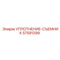 57591299 УПЛОТНЕНИЕ-СЪЕМНИК (Epiroc)