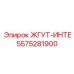 5575281900 ЖГУТ-ИНТЕ Epiroc