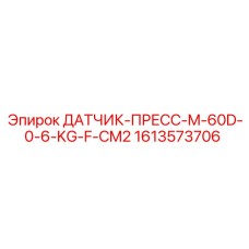 1613573706 ДАТЧИК-ПРЕСС-M-60D-0-6-KG-F-CM2 Epiroc
