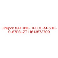 1613573709 ДАТЧИК-ПРЕСС-M-60D-0-87PSI-ZT1 Epiroc