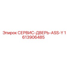 1613906485 СЕРВИС-ДВЕРЬ-ASS-Y Epiroc