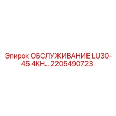 2205490723 ОБСЛУЖИВАНИЕ LU30-45 4KH Epiroc