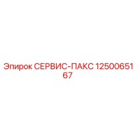 1250065167 СЕРВИС-ПАКС Epiroc