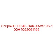 1092061195 СЕРВИС-ПАК-XAVS196-100H Epiroc