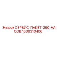 1636310406 СЕРВИС-ПАКЕТ-250-ЧАСОВ Epiroc