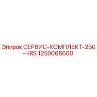 1250065608 СЕРВИС-КОМПЛЕКТ-250-HRS Epiroc