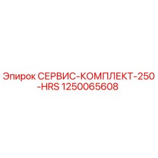 1250065608 СЕРВИС-КОМПЛЕКТ-250-HRS Epiroc