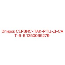 1250065279 СЕРВИС-ПАК-РПЦ-Д-CAT-6-6 Epiroc