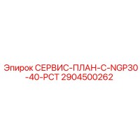 2904500262 СЕРВИС-ПЛАН-C-NGP30-40-PCT Epiroc