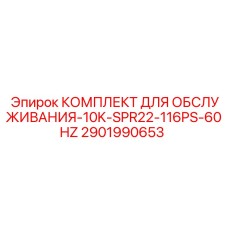 Оригинальный сервисный набор 10K-SPR22-116PS-60Hz арт.2901990653