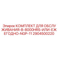 2904500220 КОМПЛЕКТ ДЛЯ ОБСЛУЖИВАНИЯ-B-8000HRS-ИЛИ-ЕЖЕГОДНО-NGP-11 Epiroc