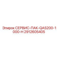 2912605405 СЕРВИС-ПАК-QAS200-1000-H Epiroc