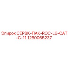 1250065237 СЕРВК-ПАК-ROC-L6-CAT-C-11 Epiroc