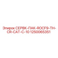 1250065351 СЕРВК-ПАК-ROCF9-TH-CR-CAT-C-10 Epiroc