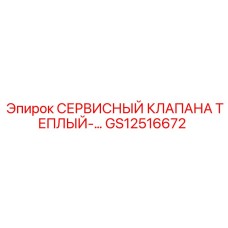 GS12516672 СЕРВИСНЫЙ КЛАПАНА ТЕПЛЫЙ Epiroc