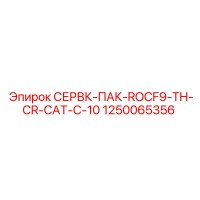 1250065356 СЕРВК-ПАК-ROCF9-TH-CR-CAT-C-10 Epiroc
